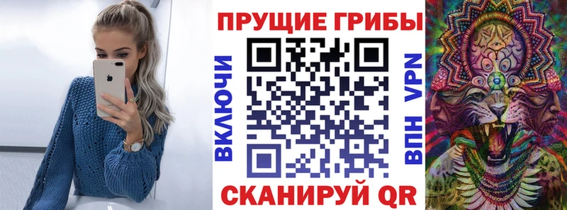 Псилоцибиновые грибы Psilocybine cubensis  kraken как войти  Верхняя Тура 